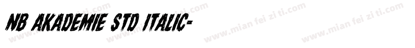 NB Akademie Std Italic字体转换